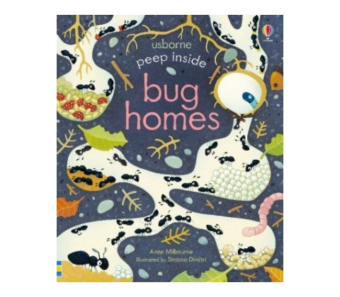 Peep Inside Bug Homes