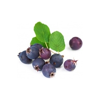 Muchovník amelanchier SMOKY kontajner 11cm