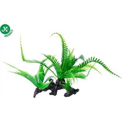 JK ANIMALS Papradie na koreni 16 cm