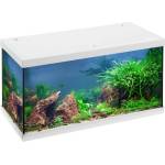 EHEIM Аквариум EHEIM Aquastar 54 LED - бял (7095)