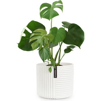 Image 1 of Blumfeldt Hasselt PP-MUTI-M-SA