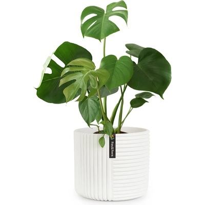 Blumfeldt Hasselt PP-MUTI-M-SA