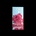 Lyra Creamy Raspberry 80 g