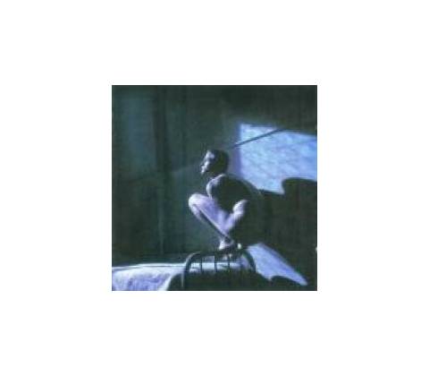 GABRIEL PETER: BIRDY CD