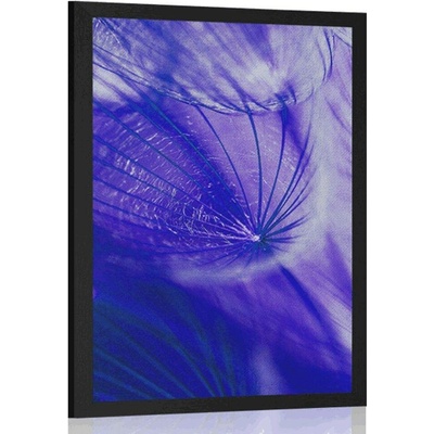 Plakát krásná pampeliška v fialovém provedení - 20x30 black
