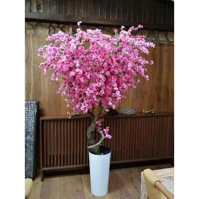 Kvitnúci strom- Japonská čerešňa 200 cm