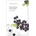 Nature republic Real Nature Acai Berr Sheet Mask - Хидратираща маска за лице с акай 1бр/23мл