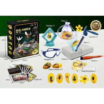 Vedecký vzdelávací súbor archeologických vykopávok hmyzu v jantári