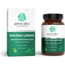 Green idea PRÁVENKA LATNATÁ 60 kapslí