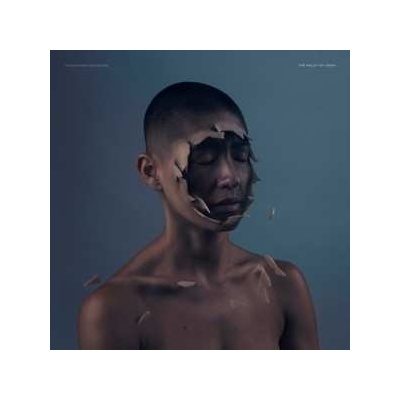 Manchester Orchestra: The Valley Of Vision LP
