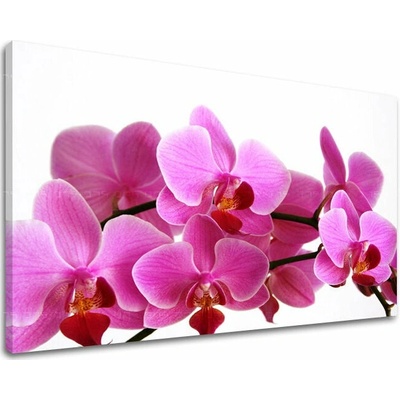 Obraz na stenu KVETY - 20x30