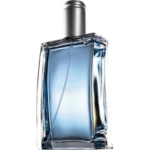 Avon Individual Blue toaletní voda pánská 100 ml