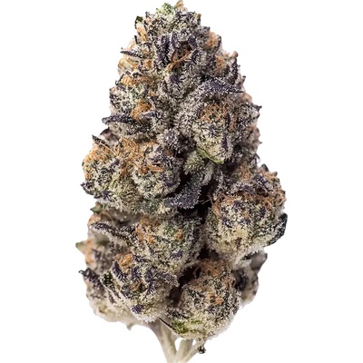 Fastbuds Papaya Sherbet Semená neobsahujú THC 10 ks