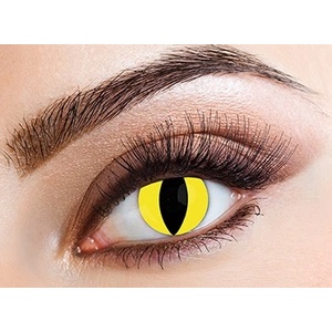 Eyecasions Лещи за очи Котка