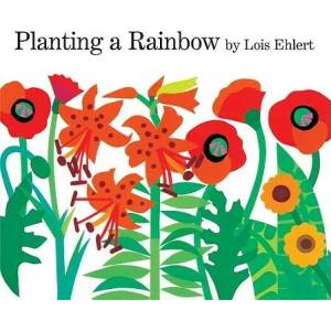 Planting A Rainbow | Lois Ehlert (ISBN: 9780152063047)