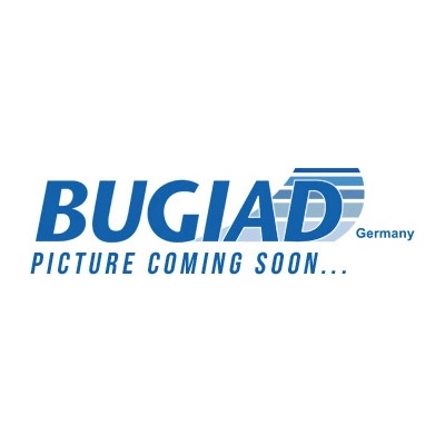 BUGIAD BIM17039