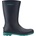 Coqui SCOUT 41