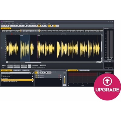 Acon Digital Acoustica Premium Edition UPG from Standard (Digitálny produkt)