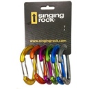 Singing Rock Vision