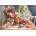 Anatolian - Puzzle Fluffy kittens in the living room - 260 piese