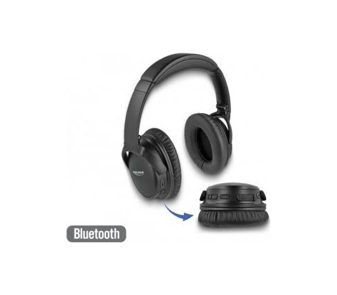 Delock 27181