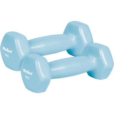 REBEL ACTIVE 2340-1 vinylové HEX 1 kg
