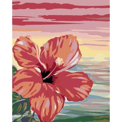 zuty Růžový ibišek 40 x 50 cm vypnuté plátno na rám 8596530043614