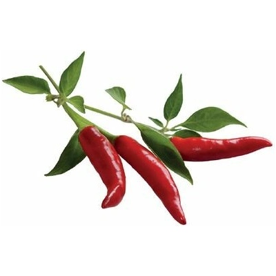 Click and Grow chilli papričky kapsule so semienkami a substrátom 3 ks
