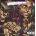 Gym Class Heroes - Quilt CD