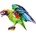 HARAHU Дървен пъзел - Macaw / M KP22010