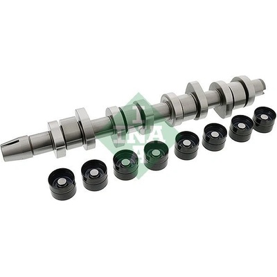 Sada vačkového hriadeľa Schaeffler INA 428 0042 30