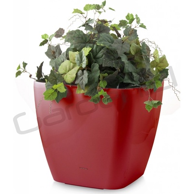 Samozavlažovací G21 Cube maxi červený 45 cm