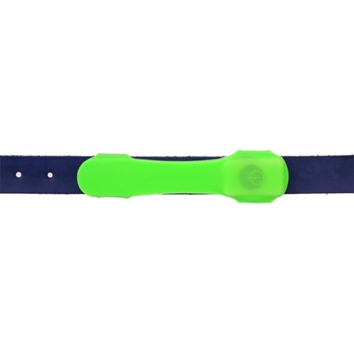 Dog Fantasy pásik LED svietiaci zelený 15 cm
