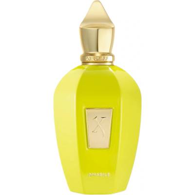 Xerjoff Amabile parfumovaná voda unisex 100 ml tester