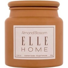 Elle Home Almond Blossom 350 g