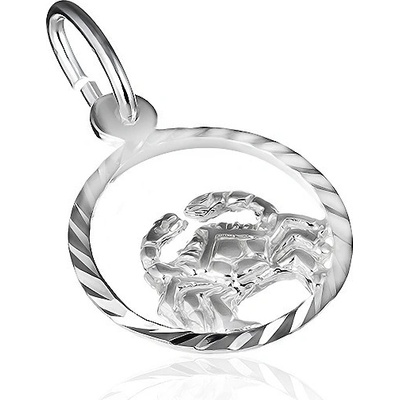 Šperky eshop Přívěsek ze stříbra 925 kruh se znamením rak X10.08