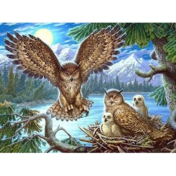 Norimpex - Puzzle Diamant painting: Owl's nest 30x40cm - 1 - 39 piese