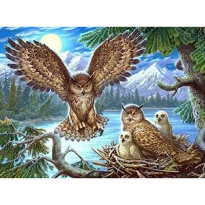 Norimpex - Puzzle Diamant painting: Owl's nest 30x40cm - 1 - 39 piese