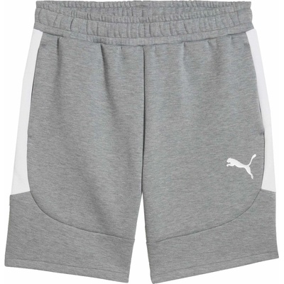 Puma TEAMEVOSTRIPESHORTS
