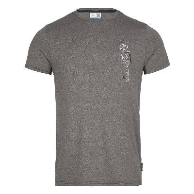 Тениска O´neill Active Surfer short sleeve T-shirt - Grey (Raven)