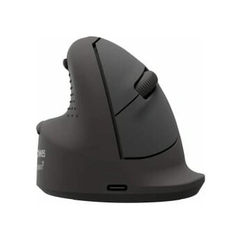 Fellowes Breyta Plus 100143583