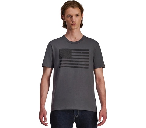 Alpinestars waving patch CSF sivé