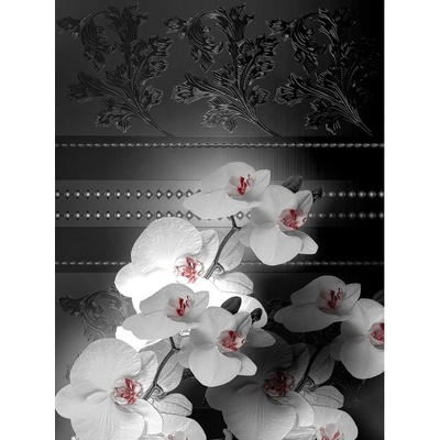 Preinterier Fototapeta panel - PL0137 - Biele kvety na čiernom pozadí vlies - 206cm x 275cm
