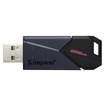 KINGSTON DataTraveler EXODIA M 256GB DTXM/256GB