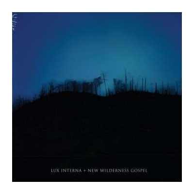 2Lux Interna - New Wilderness Gospel CD