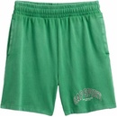 Gap Sport Zelená