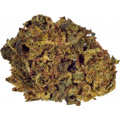 Drskunk Jack Herer 10%HHC-PO + 6%10OH-HHC 10%CBN 0,3 THC 10 g – Zboží Dáma