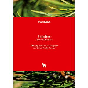 Conifers | Teresa Fidalgo Fonseca (2022)