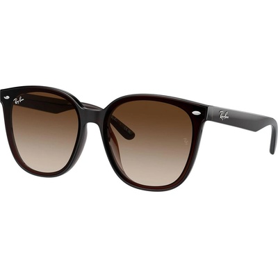 Ray-Ban RB4423D 714/13