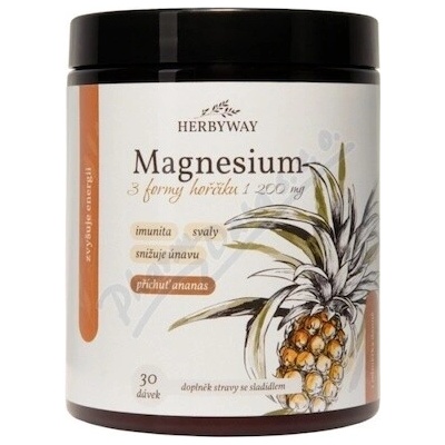 Herbyway Magnesium 1200mg 3 formy hořč.ananas 170 g